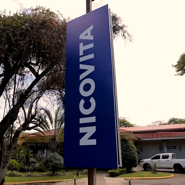 NICOVITA — SIMCAA 2025 Choluteca