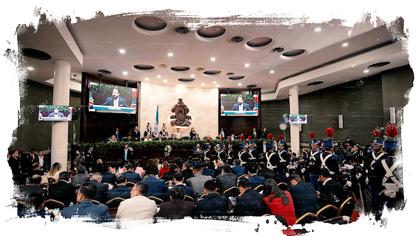 Congreso Nacional — Documentales animados actividad parlamentaria